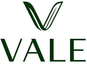 Vale Healthy Kitchen logo